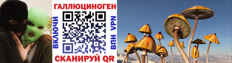 Псилоцибиновые грибы MAGIC MUSHROOMS  что такое наркотик  Руза 